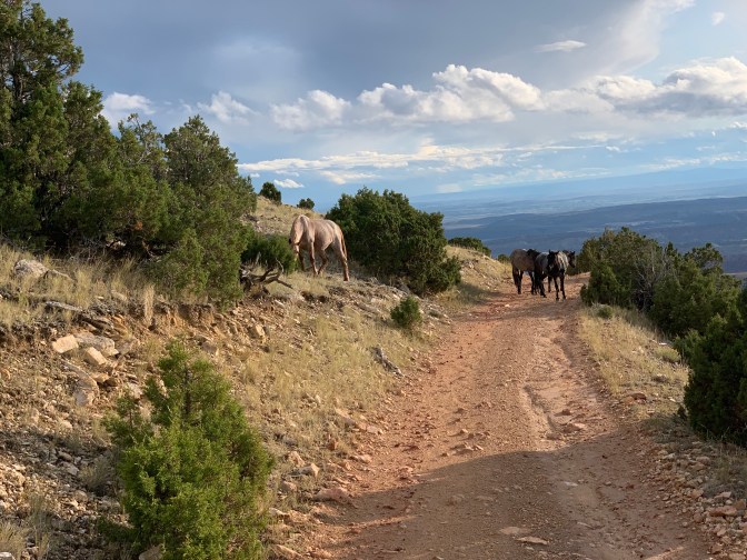 SmRnrX1FSmCCdZKjhLY0lQ