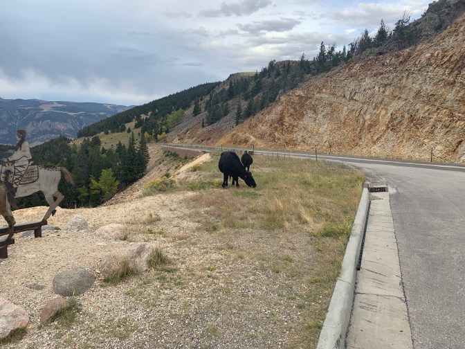 SwwmLAaRQJS+l5WFZOQ2Ug