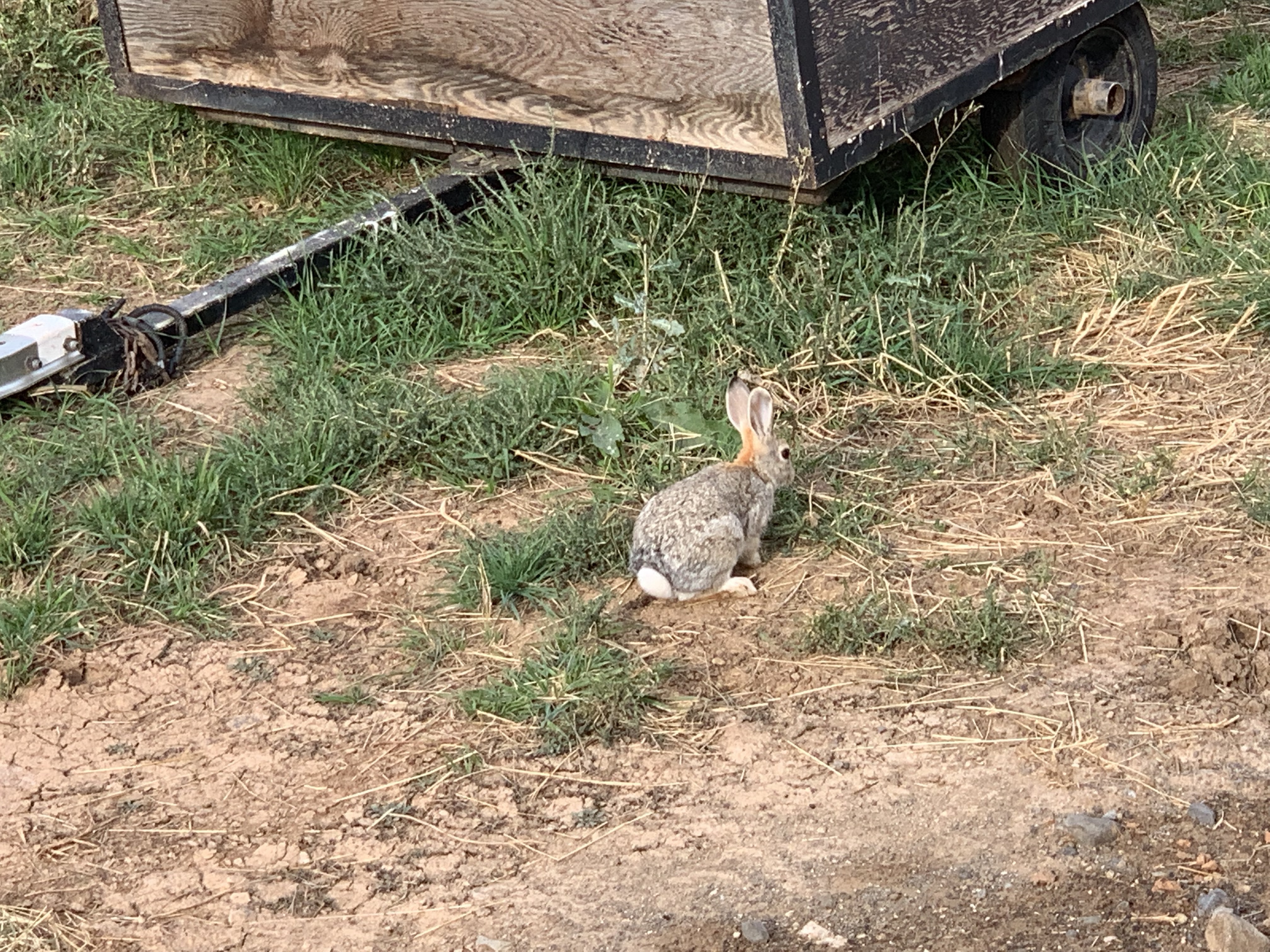 UqRQ%7mIQzWHtptq8ImliQ