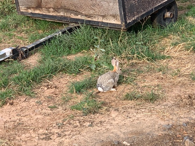 UqRQ%7mIQzWHtptq8ImliQ