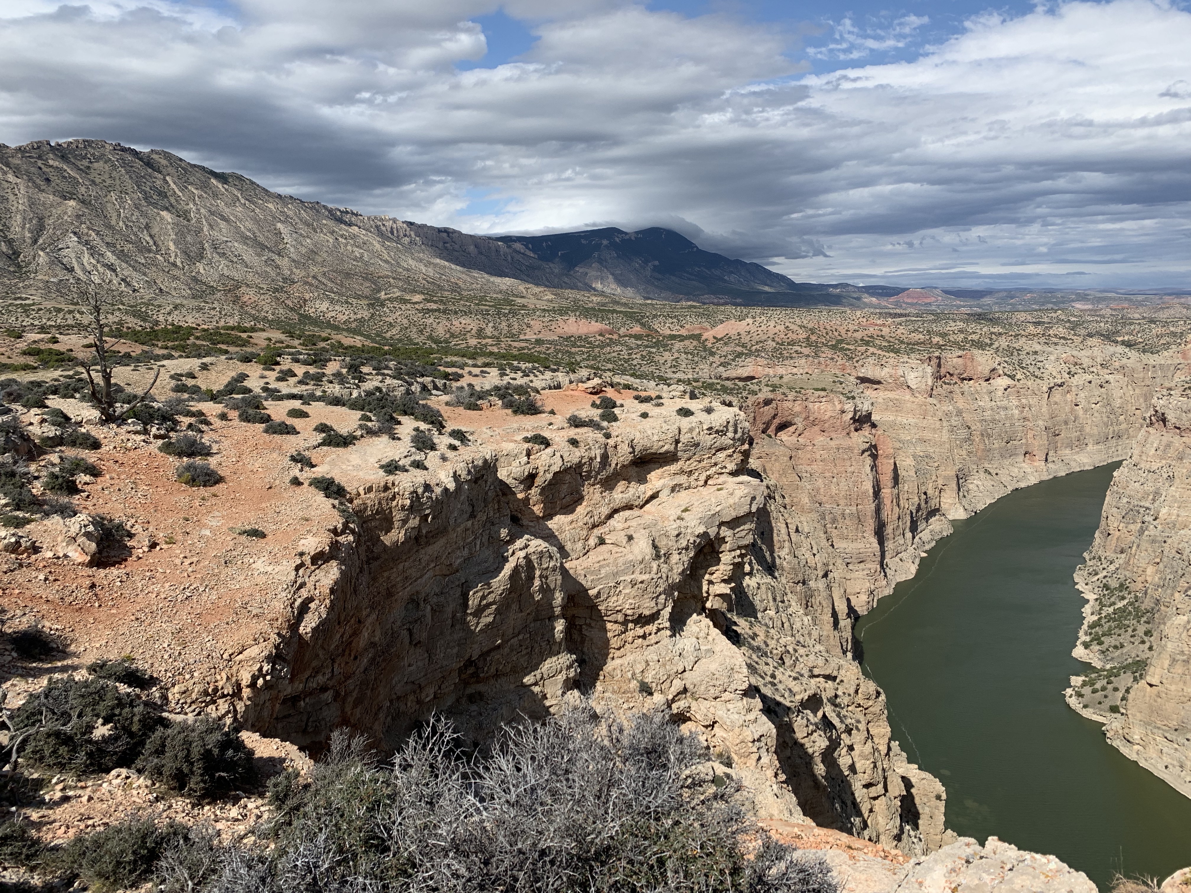 X3U7FVM9QH6qGeaiMe3A4g