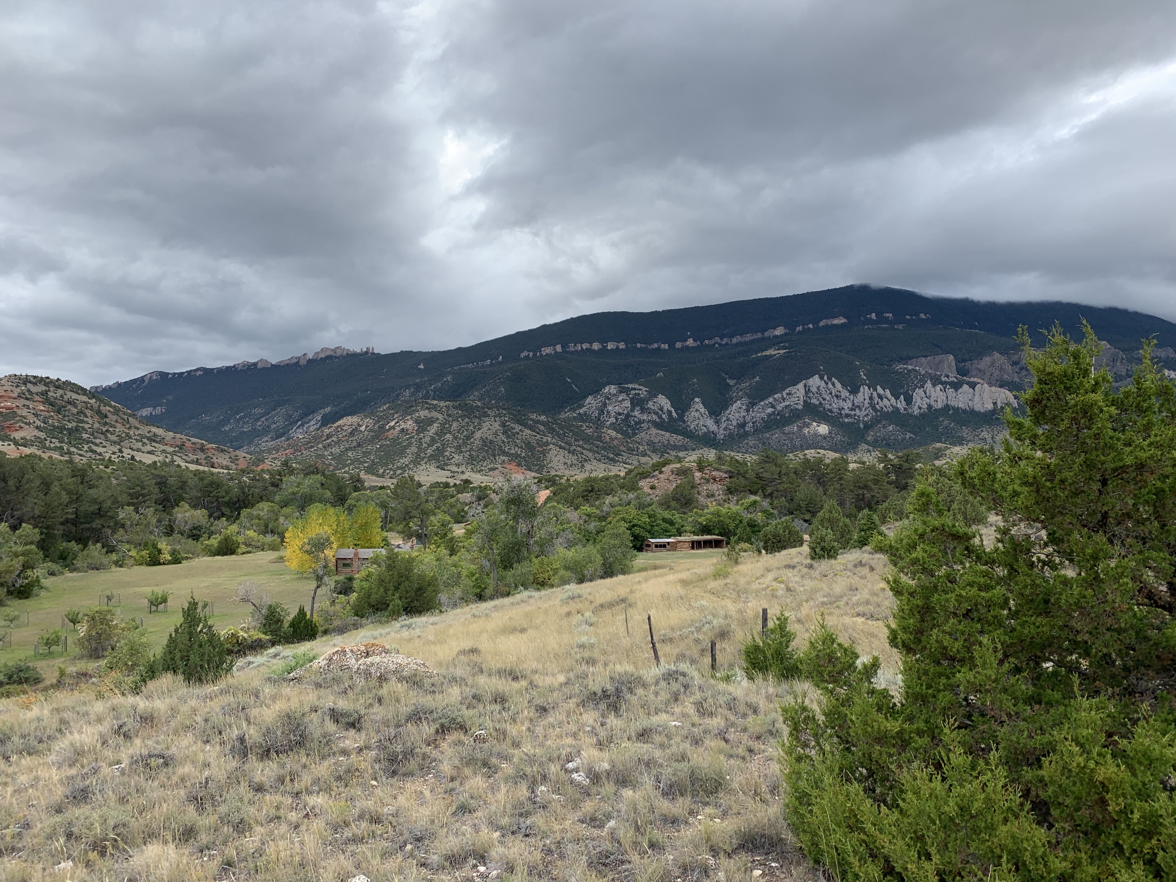 Xupq7IMDQzmMJnVJg3p5rg