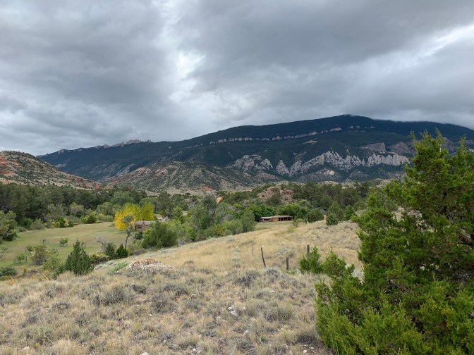 Xupq7IMDQzmMJnVJg3p5rg