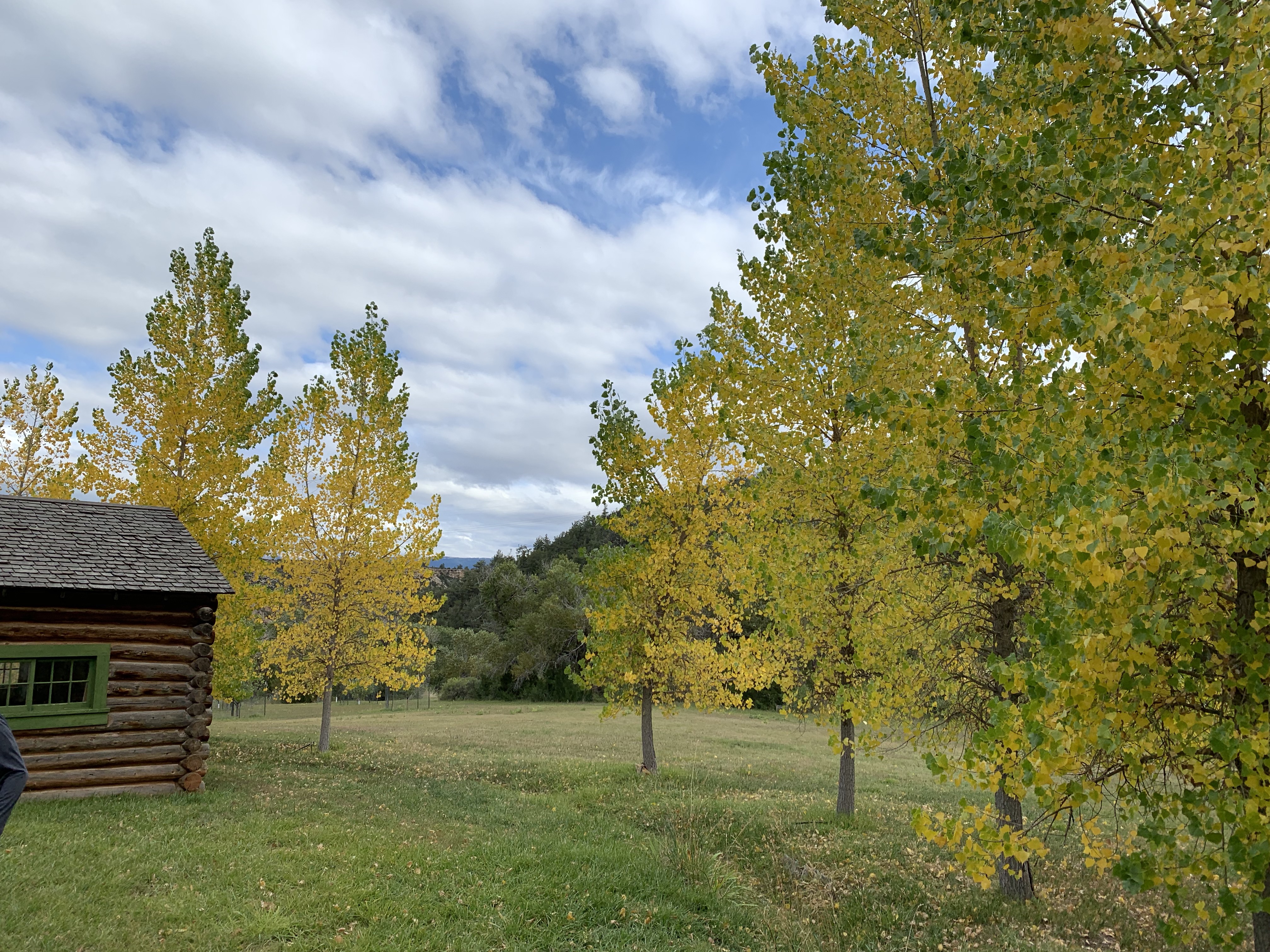 z6h3jlSOQH22%TFEo+Rp3g