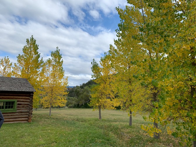 z6h3jlSOQH22%TFEo+Rp3g