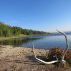 Wyoming Wilderness 2020